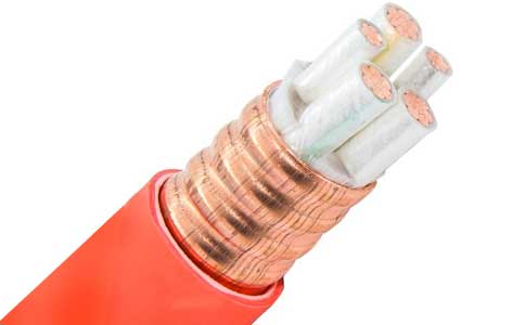 <a href='http://www.submicrotrading.com/kuangwuzhidianlan/' target='_blank'><u>礦物質(zhì)電纜</u></a>